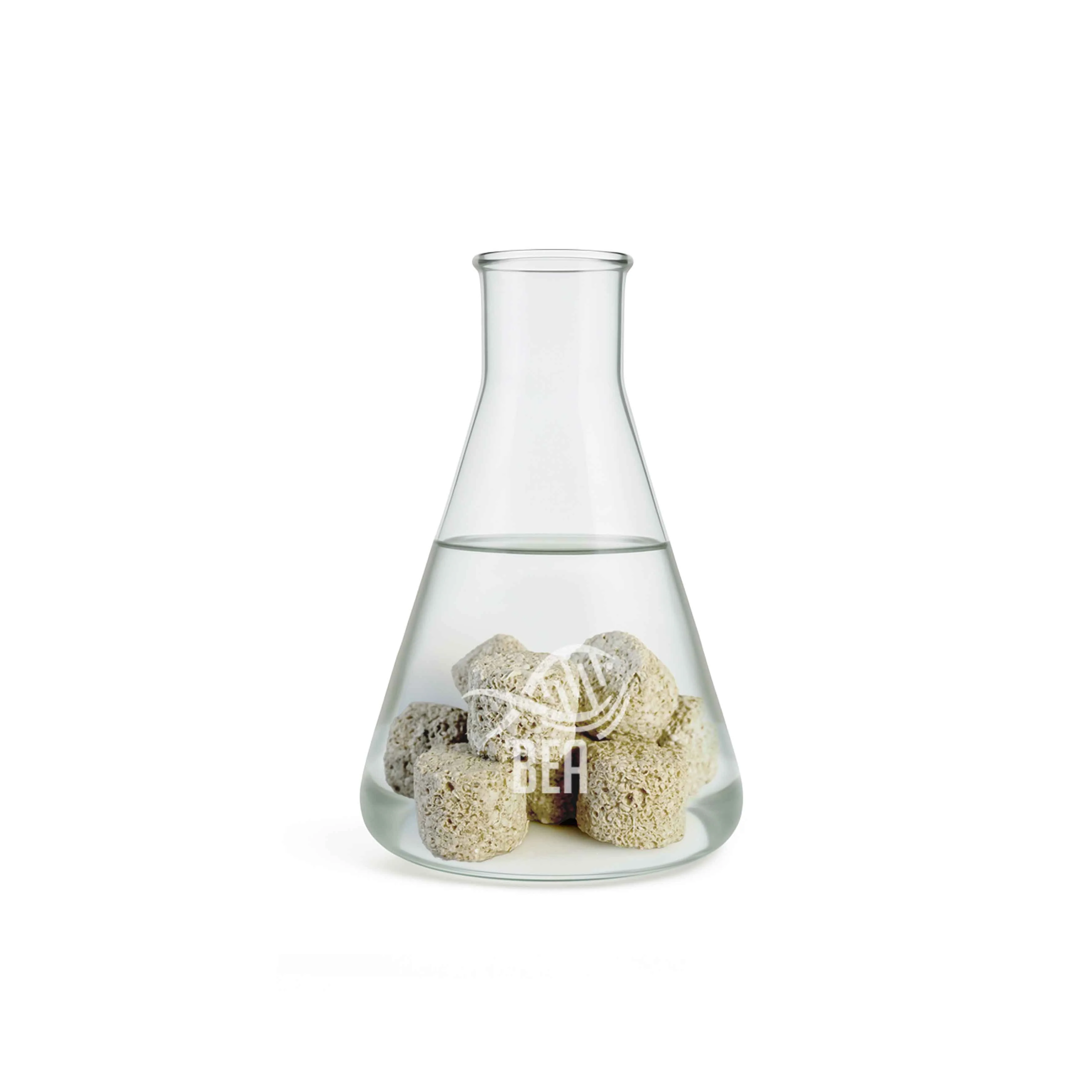 Fitoplancton e Zooplancton